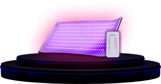 Hue Light™ Abdomen PBM Irradiator – Targeted Red & Near-Infrared Light Therapy