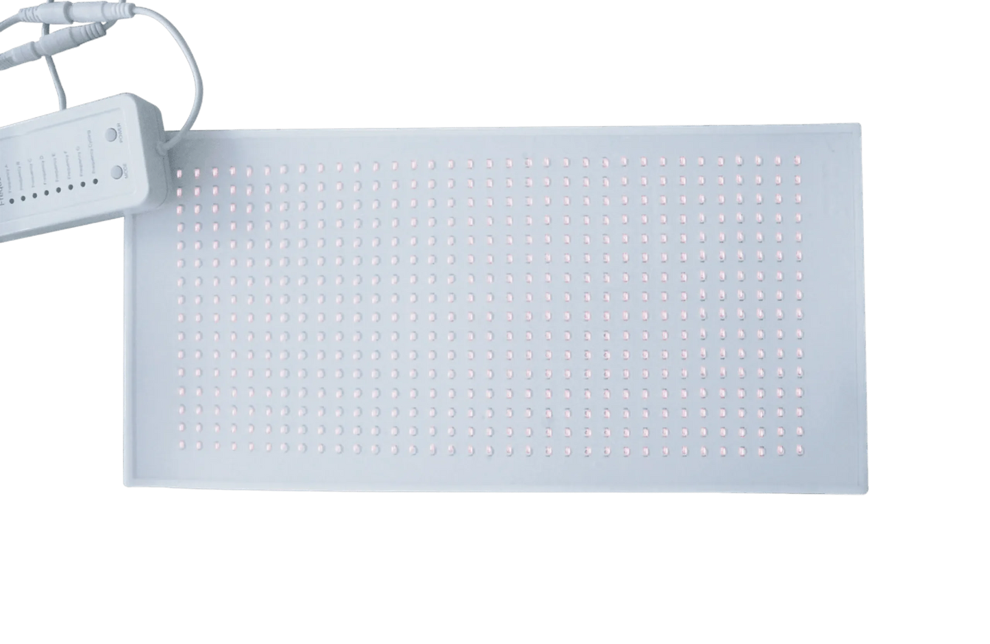 Hue Light™ Abdomen PBM Irradiator – Targeted Red & Near-Infrared Light Therapy